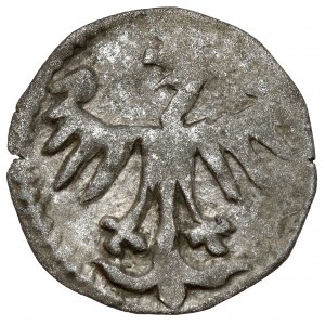 Casimir IV Jagiellonian, Denarius of Cracow