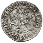 Sigismund II Augustus, Vilnius 1557 half-penny - clover - rare