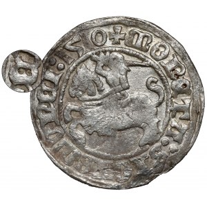 Sigismund I. der Alte, halber Pfennig Vilnius 1510 - Rückseite D