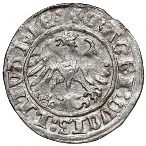 Sigismund I. der Alte, halber Pfennig Vilnius 1510 - Rückseite D