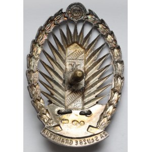 Badge, Border Protection Corps - in silver