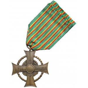 Krzyż Zasługi Wojsk Litwy Środkowej - Delande