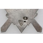 Haller's Swords badge. - SZW and silver punches