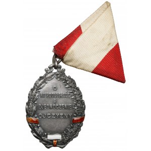 Commemorative badge, 1st Puławski Legion