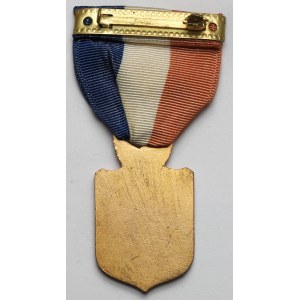 Związek Narodowy Polski / Polish National Alliance, Medal nagrodowy