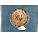 Medal, Cracow School of Fine Arts 1906 - for Maj. Wyrwinski