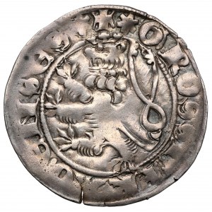 Čechy, Ján I. Luxemburský (1310-1346) Pražský groš