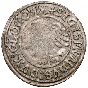 Žigmund I. Starý, glogovský groš bez dátumu - vzácny