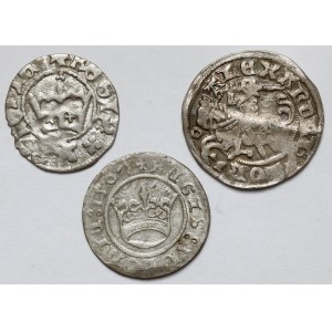 Jan Olbracht - Sigismund I the Old, Half-pence - set (3pcs)