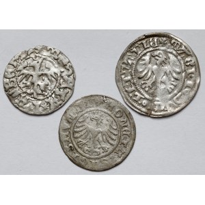 Jan Olbracht - Sigismund I the Old, Half-pence - set (3pcs)