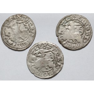 Alexander Jagiellonian, Vilnius half-penny - set (3pcs)