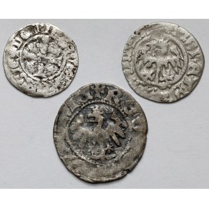 Ladislav II Jagellonský, Kazimír IV Jagellonský a Winrych von Kniprode, půlpence a čtvrtpence - sada (3ks)