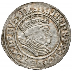 Sigismund I the Old, Penny of Toruń 1535