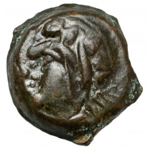 Greece, Thrace / Chersonesus, Pantikapaion, AE15 (304/3-250 BC)