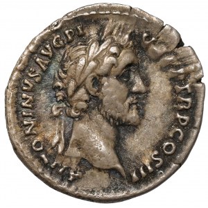 Antoninus Pius (138-161 n.e.) Denar, Rzym