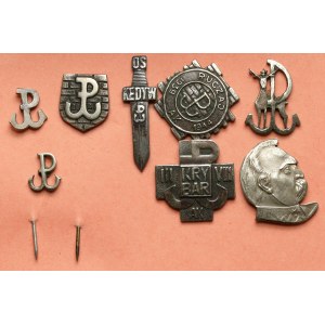 Set of commemorative pins and pins (8pcs)