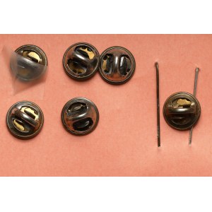 Set of commemorative pins and pins (8pcs)