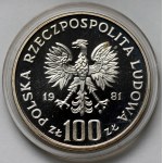 Vzorek SILVER 100 zlatých 1981 Kostel Panny Marie v Krakově