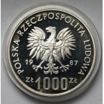 Vzorka SILVER 1 000 zlatých 1987 Hry XXIV. olympiády