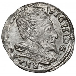 Žigmund III Vasa, Trojka Vilnius 1595 - Prusko