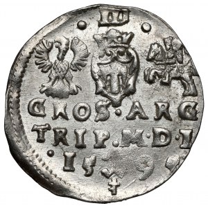 Žigmund III Vasa, Trojka Vilnius 1595 - Prusko