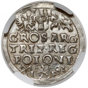 Zikmund III Vasa, Trojak Poznaň 1591 - KRÁSNÝ