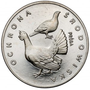 Próba NIKIEL 100 złotych 1980 Głuszce
