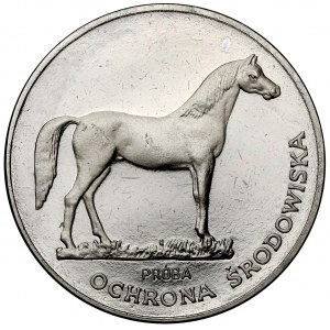 Próba NIKIEL 100 złotych 1981 Koń