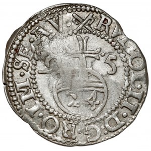 Schleswig-Holstein-Schauenburg, Adolf XIII, 1/24 thaler 1595