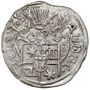 Schleswig-Holstein-Schauenburg, Adolf XIII, 1/24 Taler 1599