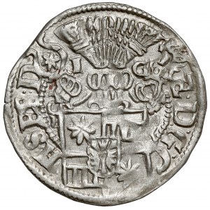 Šlesvicko-Holštýnsko-Schauenburg, Ernst III, 1/24 tolaru 1602 IG