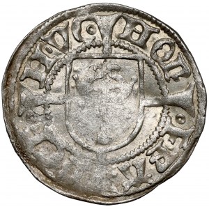 Brandenburg, Halbpfennig 1500 (HVC), Frankfurt