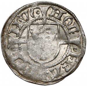 Brandenburg, Johann Cicero, 1/2 groschen 1495 - rare