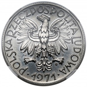 Destrukt 5 złotych 1971 Rybak - ODWROTKA