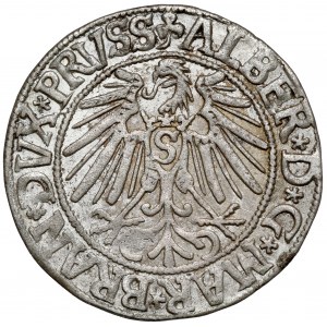Preußen, Albrecht Hohenzollern, Grosz Königsberg 1543