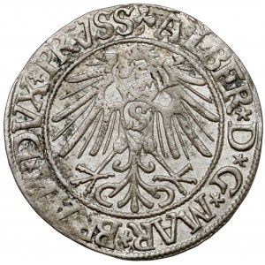 Prusko, Albrecht Hohenzollern, Grosz Königsberg 1544 - široká brada