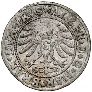 Prusko, Albrecht Hohenzollern, Grosz Königsberg 1531