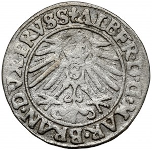 Prusko, Albrecht Hohenzollern, Grosz Königsberg 1550