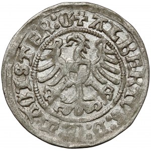 Teutonský rád, Albrecht Hohenzollern, Grosz Königsberg 1513 - KRÁSNY