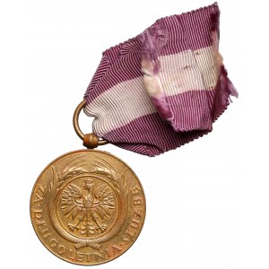 II RP, Medaille für langjährige Verdienste - Bronze (X)