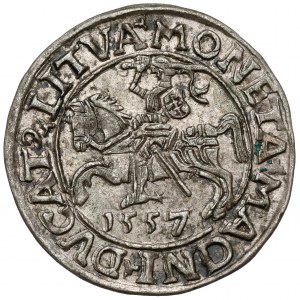 Sigismund II. Augustus, halber Pfennig Vilnius 1557