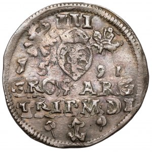 Sigismund III. Vasa, Troika Vilnius 1591 - Blätter