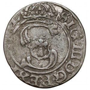 Zygmunt III Waza, Szeląg Wilno 1627