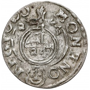 Sigismund III. Wasa, Półtorak Bydgoszcz 1623 - im Schild