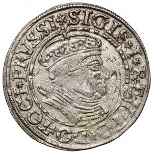 Sigismund I. der Alte, Grosz Toruń 1534 - in Mütze