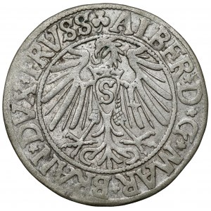 Prusko, Albrecht Hohenzollern, Grosz Königsberg 1542