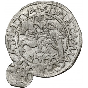 Zikmund II August, Tykocin 1566 půlgroš - MALÝ Jastrzębiec - velmi vzácný