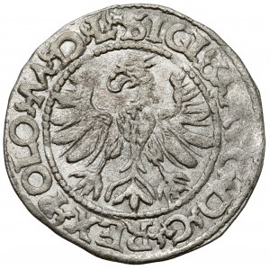Žigmund II August, Tykocin 1566 polgroš - MALÝ Jastrzębiec - veľmi vzácny