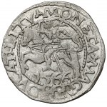 Sigismund II Augustus, Tykocin 1566 halber Pfennig - SMALL Jastrzębiec - sehr selten