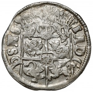 Šlesvicko-Holštýnsko-Gottorp, Johann Adolf, 1/24 tolaru 1602